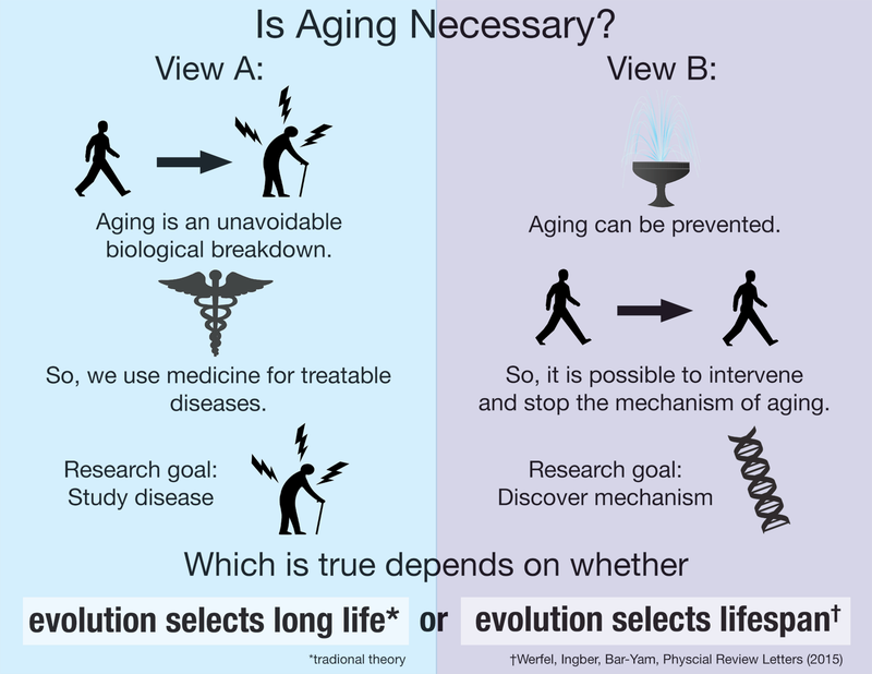 Illustration for article titled Are Limited Lifespans An Evolutionary Adaptation?